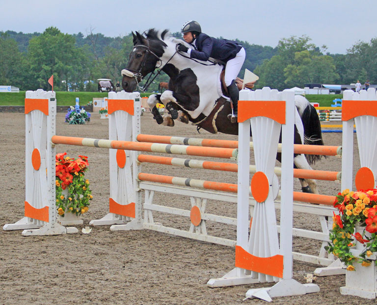 Horse Jumping 6 1   P OMalley